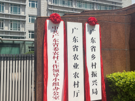 广东省乡村振兴局今天正式揭牌，意味着什么？