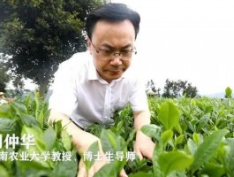 刘仲华：科技赋能茶产业 一心只为强农梦