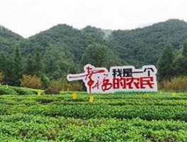 湄潭县：60万亩优质茶园托起乡村振兴“富美新”