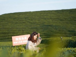 春茶季将至，数十万亩茶田或滞销，直播卖茶能够自救？