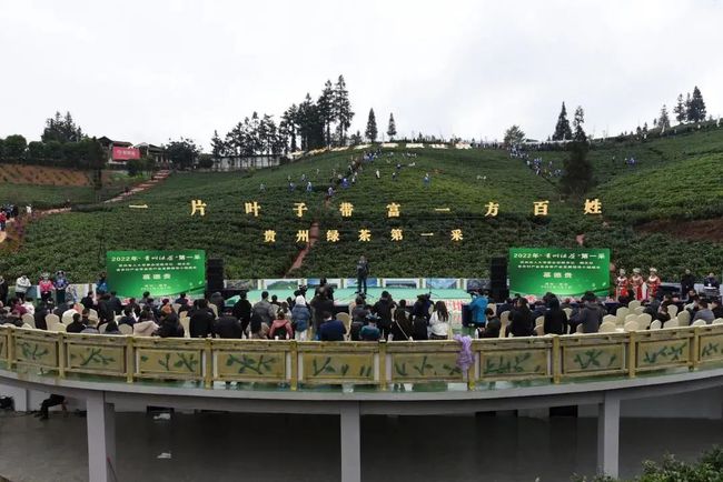 2022年“贵州绿茶”第一采系列活动在普安县举行