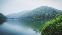 宜兴山乡进入“茶旅风情季”