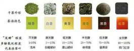 茶叶的制作过程是怎样的？茶叶的制作过程步骤