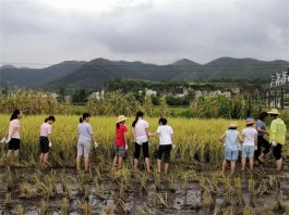 从城市到乡村游学不是一窝蜂地打卡景区