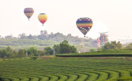 旅游观光茶园：茶叶转型路漫漫，要想快速升级，这两点基础得知道