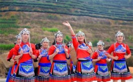 政和铁山元山村：推动畲族文化 打造茶旅融合发展