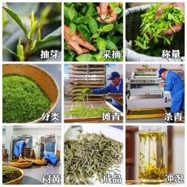 喝茶养胃，尝玉米甜香的平阳黄汤茶，认准农产品地理标志