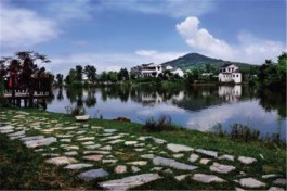 黄龙岘茶文化旅游村