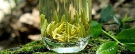 竹叶青属于什么类型茶 竹叶青属于不发酵茶