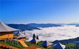 云南城投集团茶旅融合新实践 打造藏在千亩茶山上的酒店