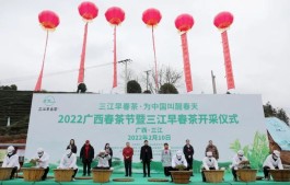2022广西春茶节暨三江早春茶开采仪式在三江举行