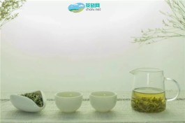 夏天喝什么茶排寒湿？