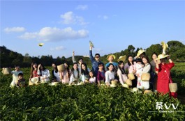 贵阳红枫山韵茶场迎来今年首批茶旅体验游客