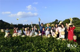 贵阳红枫山韵茶场迎来今年首批茶旅体验游客