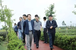宜宾市副市长陶学周陪同科技部中国农村中心主任邓小明到川茶集团调研