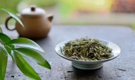 绿茶什么时候采摘最佳 绿茶的采摘时节