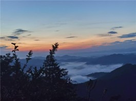 绿叶托起“小康梦”，茶山开启幸福路——“精准扶贫十佳企业”百尼茶庵