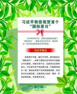 习近平致信祝贺首个“国际茶日”