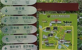 杭州被称为茶都，关于茶的文化全汇集在茶叶博物馆，来此不能不看