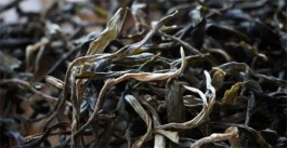 一篇文章看完全中国99%的茶