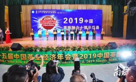 广东唯一！英德首次上榜“2019中国茶旅融合十强示范县”