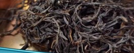 凤凰单丛是什么茶 凤凰单丛属于半发酵乌龙茶