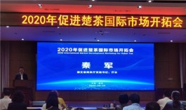2020年促进楚茶国际市场开拓会在武汉召开