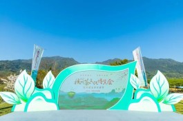 2021年杭州茶文化博览会开幕
