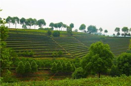 两山一古寨 烁古又耀今|潮安打造三大人文景观带