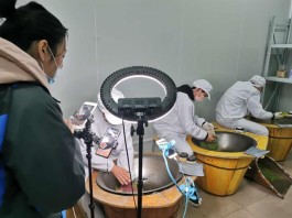 女茶农视频直播卖茶叶 嵊州越乡龙井开卖 一茶厂获500余春茶订单