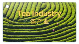 习近平总书记一语道破了武夷山茶产业的“成功密码”