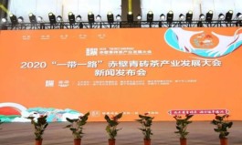 赤壁青砖茶产业发展大会新闻发布会在广州举行