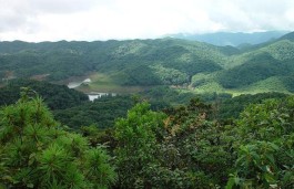 墨江五大古茶山之——通关古茶山