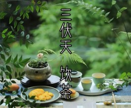 三伏天，一定要饮茶