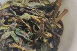 芝兰香茶的特点（芝兰香茶的功效与作用）