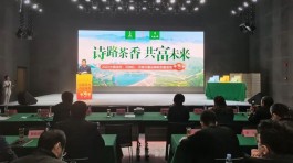 诗路茶香 共富未来 新昌县举行2022茶叶品牌新形象发布会
