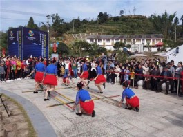 2020年平阳黄汤茶博园茶旅文化节精彩瞬间