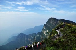 峨眉山：茶业与旅游相融合 促茶产业创新升级