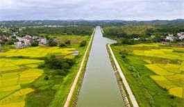 雷州青年运河灌区喜收晚稻 （外四首）