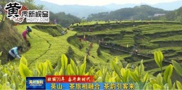 《壮丽70年 奋斗新时代》英山：茶旅相融合 茶韵引客来