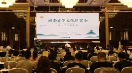 湖南长沙：省茶文化研究会正式成立
