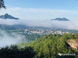 踩着青石铺，感受山间茶。这里推荐一些武夷山茶旅景点给你！