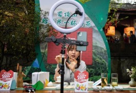 第十六届蒙顶山茶文化旅游节开幕