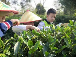 重磅！研学旅行正式进入综合素质评价体系中