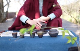 茶乡旅游精品线路——广西苍梧 苍松六堡生态茶园体验之旅