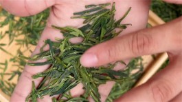 绿茶的十大品种（喝绿茶有什么功效和作用）