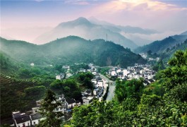 茶乡旅游精品线路——安徽黄山 黄山市徽州区谢裕大茶博园科普游