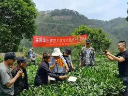 “陈宗懋院士团队科研平台”送智解惑 助力普洱有机茶产业健康发展