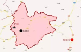 临沧永德十二古茶园：勐板乡忙肺古茶园