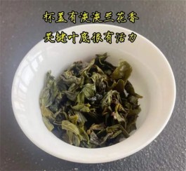 铁观音可以做奶茶吗 铁观音可以保存多久